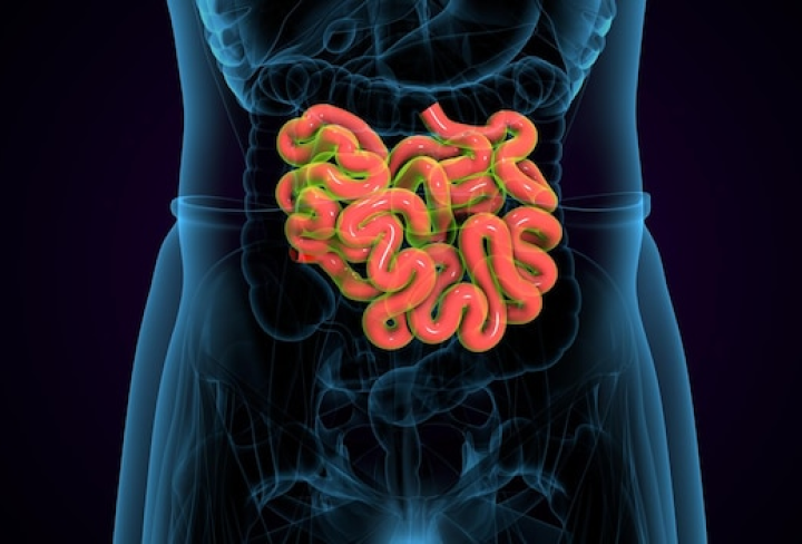 Y25-M07-B-GA-CN2-V6_20250730_v1