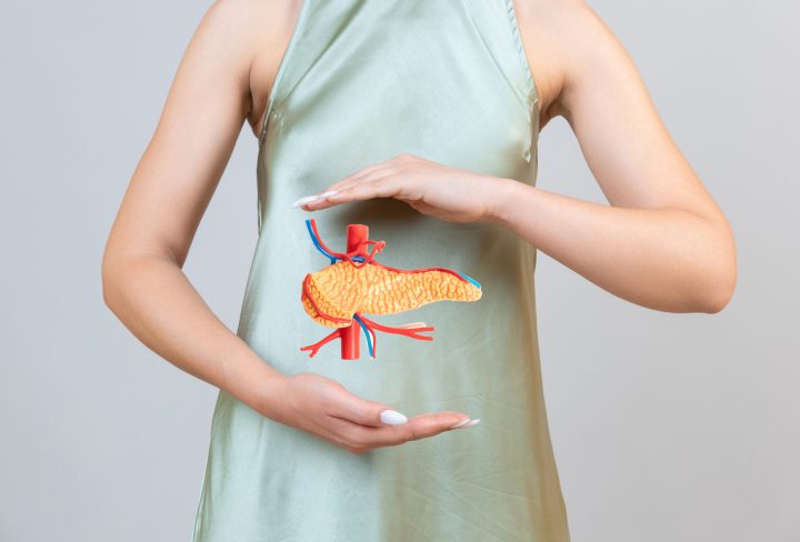 woman holding pancreas in the hands. Help and care concept